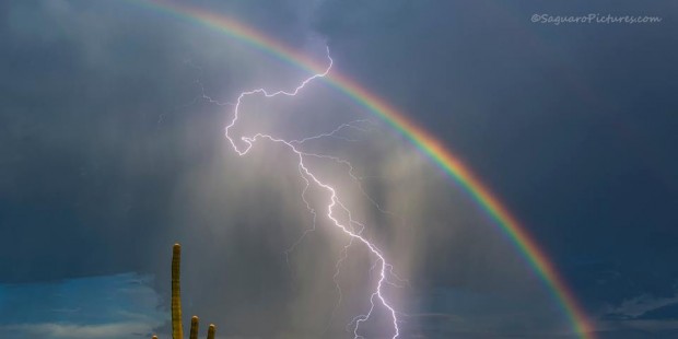 This photo, snapped by Tucson, Arizona resident Greg McCown, has been shared more than 40,000 times...