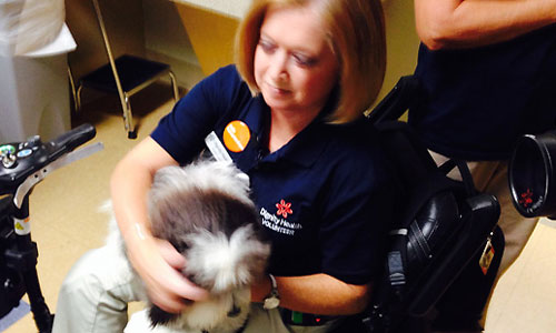 Laura Ibsen and her dogs visit patients every week at Chandler Regional Medical Center. (KTAR Photo...