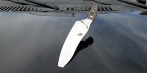 (Photo: MCSO) 