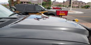 (Photo: MCSO)