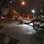 storm1-8-31