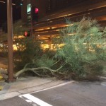 storm2-8-31