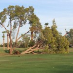 storm5-831