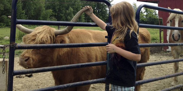 In this Friday, Aug. 7, 2015 photo, photo Dexter Bellee, 9, of Austin, Texas, visits a petting zoo ...