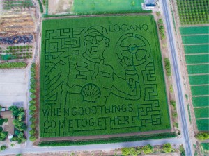 (Photo: Schnepf Farms)