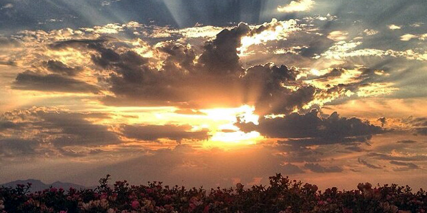 (Instagram Photo/@phxtarin)...