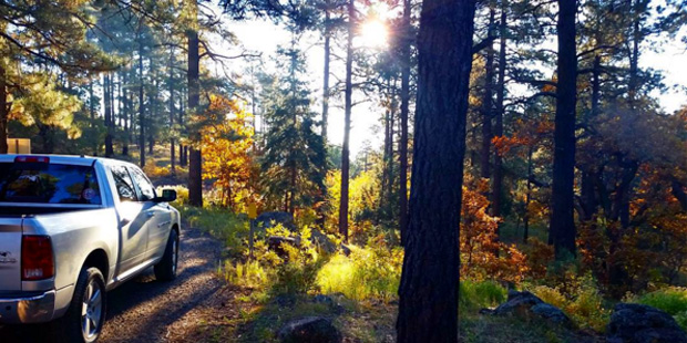 Prescott National Forest, where 450 Christmas tree permits will be sold starting Tuesday, Nov. 17. ...