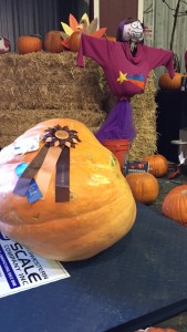 (Photo: Jeannie Berg/Arizona State Fair)