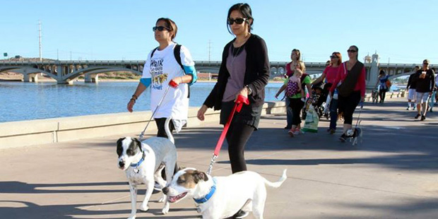 Participants and their pups take place in the 2014 Walk to Save Animals in Tempe, Ariz. (Facebook/A...