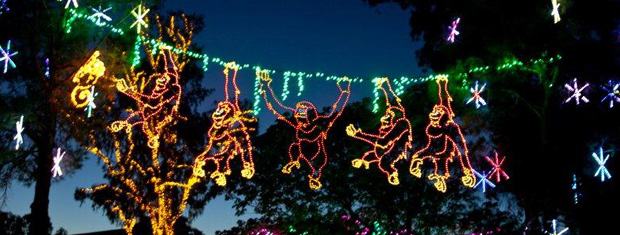 ZooLights at the Phoenix Zoo. (Photo Dave Seibert/Phoenix Zoo)