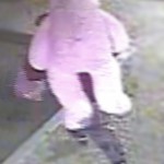 15-2059 Photo - Stolen bear