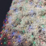 chandler-tumble10-insta