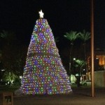 chandler-tumbleweed-tree-st