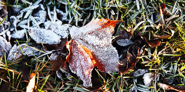 (StockSnap Photo)...