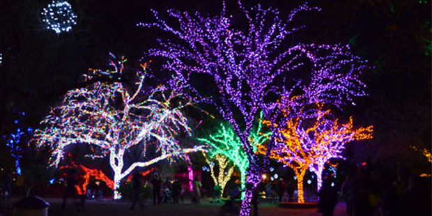 A display at ZooLights is shown. (Photo: Phoenix Zoo)...