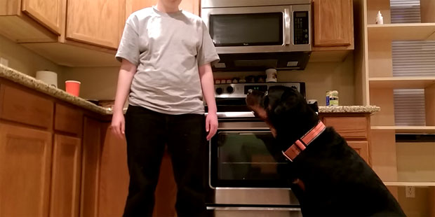 Danielle Jacobs and Samson in a training video she posted online in January 2015. (Screenshot)...