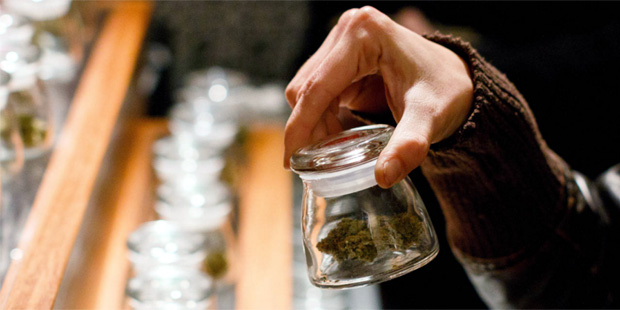 In this Dec. 5, 2013 file photo, marijuana matures at the Medicine Man dispensary and grow operatio...