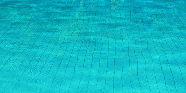 (StockSnap Photo)...