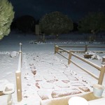 snow-fbook3-0201