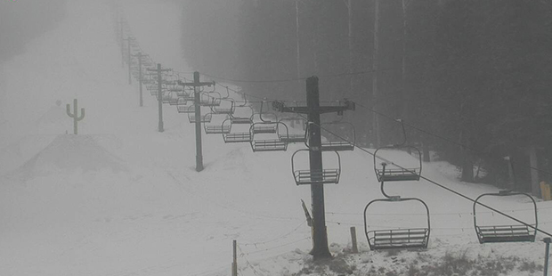 (Arizona Snowbowl Photo)