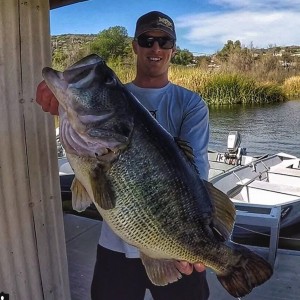 Greg Springer's 16-pound bass. (Photo: Scout.com)