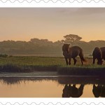 2-0_USPS16STA034c