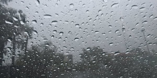 (Photo via Ameema Ahmed/12 News)...