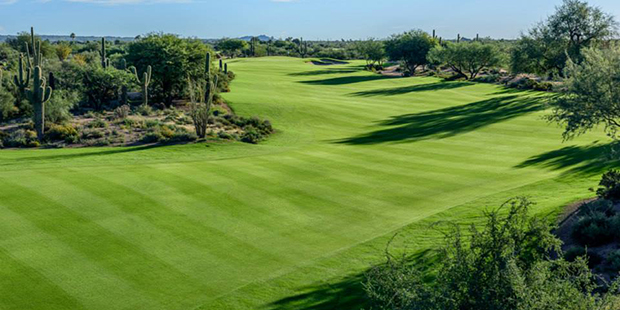 (Desert Forest/Facebook photo)...