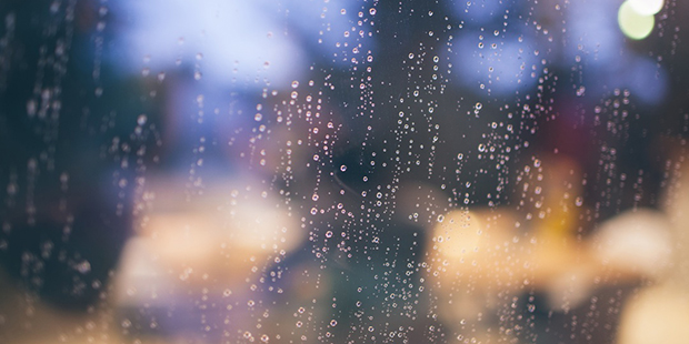 (Unsplash.com Photo)...