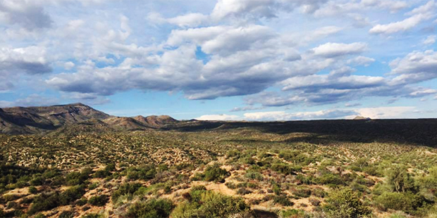 Tonto National Forest (Facebook/Christina Zielinski)...