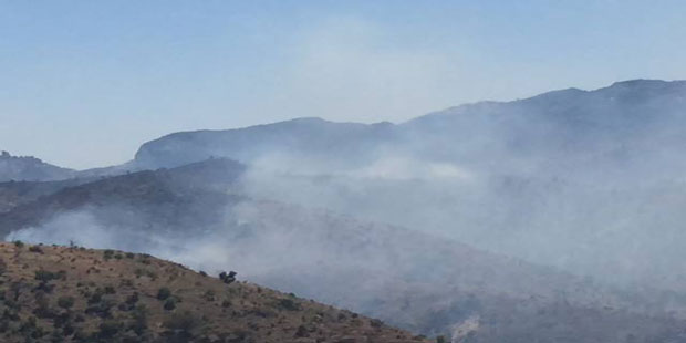 The Triple 2 Fire burning in Mexico and parts of the Coronado National Forest. (The Forest Service ...