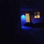 bobblue9