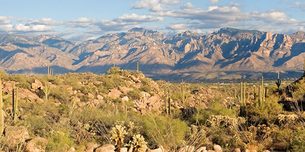 (Tucson Visitor Center Photo)...
