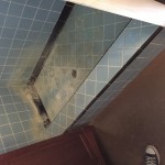 Student bathroom shower