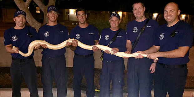 (Twitter Photo/@ScottsdaleFire)...