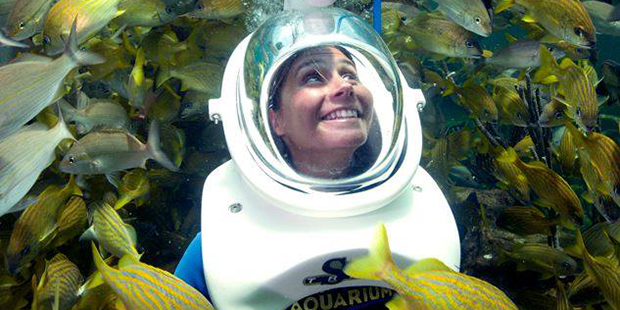 (OdySea Aquarium Photo)...