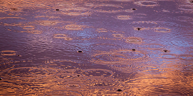 (StockSnap Photo)...
