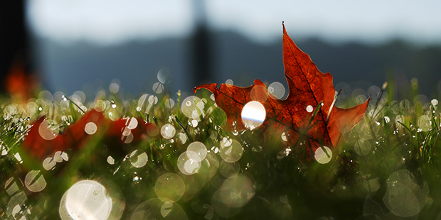 (StockSnap Photo)...