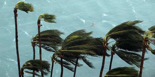 Wind brought by Hurricane Matthew blow palm trees on Paradise Island in Nassau, Bahamas, Thursday, ...