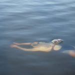 sarah-thomas3-fbook
