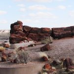 4petrified-forest