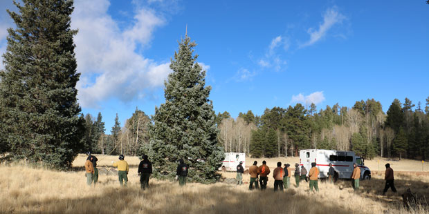 (Photo by: Apache-Sitgreaves National Forests)...