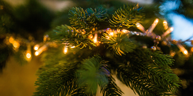 (StockSnap Photo)...