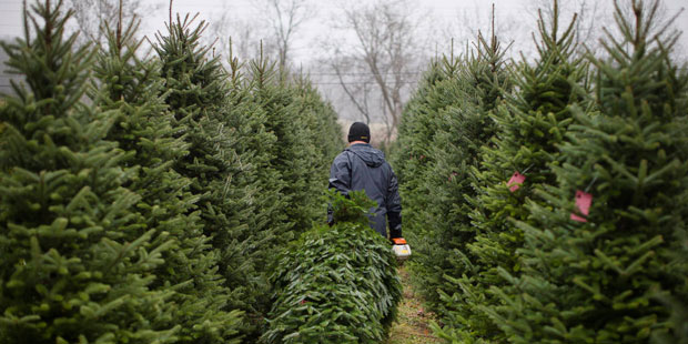 (AP Photo/John Minchillo)...