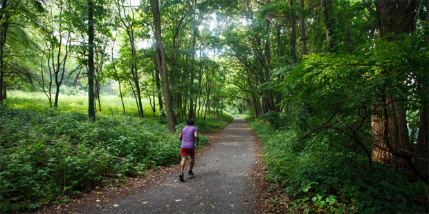 In this July 7, 2016 photo, a runner strides along the cross country course at Van Cortlandt Park i...