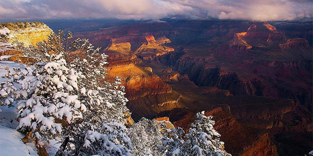 (Instagram Photo/@grandcanyonnps)...