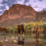 top-20-arizona-instagram-photos-of-2016