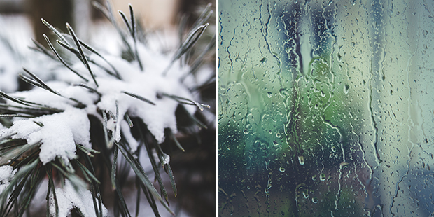 (Pexels Photos)...