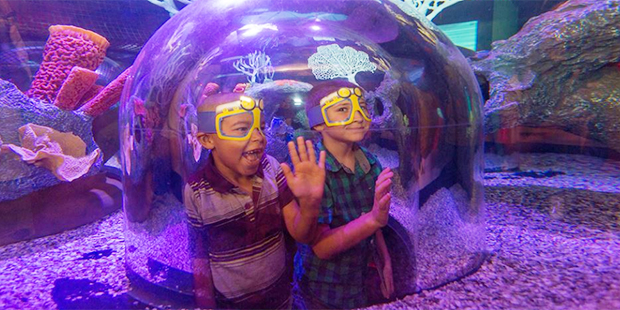 (Facebook/SEA LIFE Arizona)...