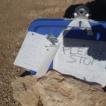 stranded for 5 days 4